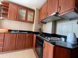The Bencoolen (D7), Apartment #556527921